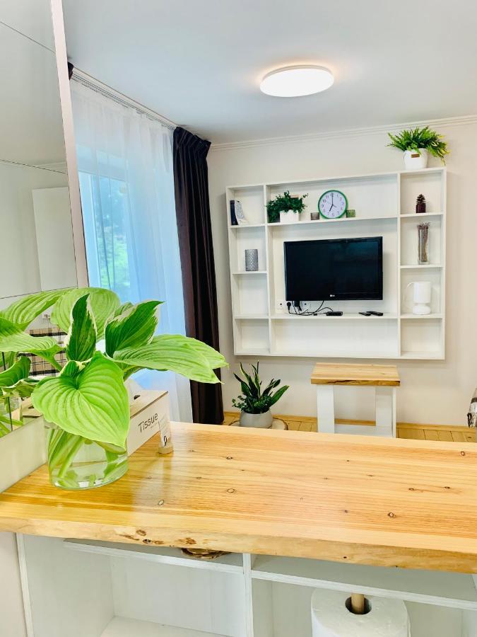 Apartment Privokzalnaya Square Ivano Frankivsk Bagian luar foto